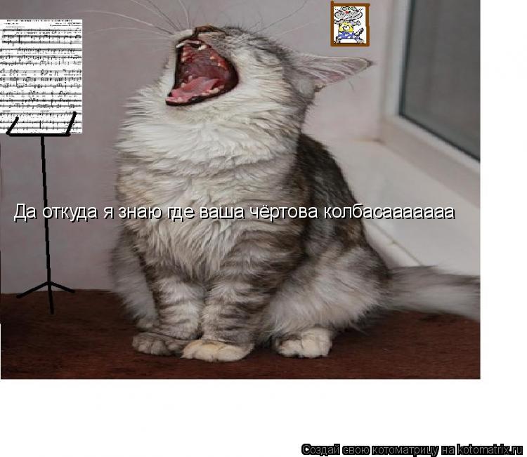Котоматрица: Да откуда я знаю где ваша чёртова колбасааааааа