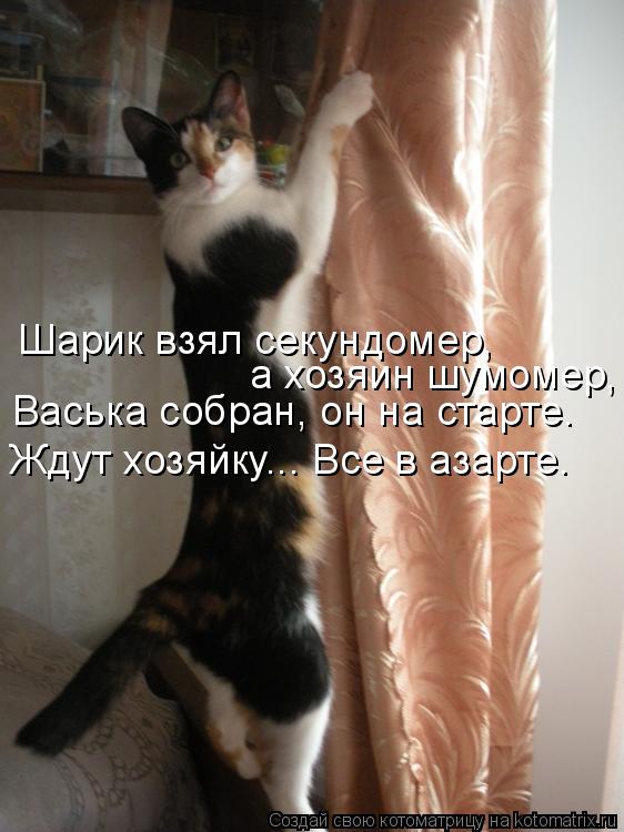 Шарик взял секундомер, а хозяин шумомер, Васька собран, он на старте. Ждут хозяйку... Все в азарте.... Котоматрица: Шарик взял секундомер, а хозяин шумомер, Васька собран, он на старте. Ждут хозяйку... Все в азарте.