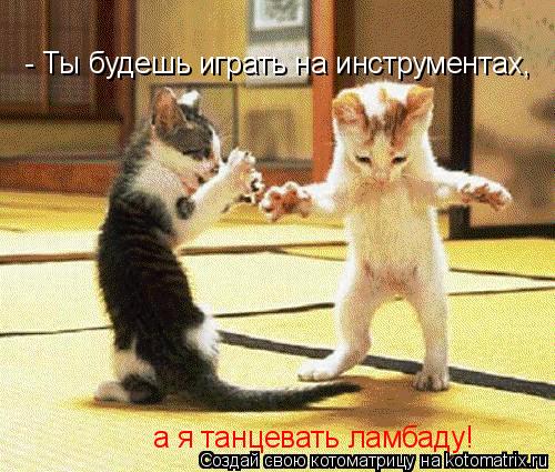 Котоматрица: - Ты будешь играть на инструментах, а я танцевать ламбаду!