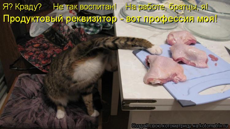Котоматрица: Я? Краду?     Не так воспитан!    На работе, братцы, я!  Продуктовый реквизитор - вот профессия моя!