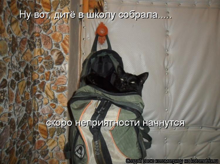Котоматрица: Ну вот, дитё в школу собрала..... скоро неприятности начнутся