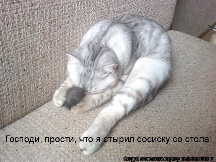 Котоматрица: Господи, прости, что я стырил сосиску со стола!