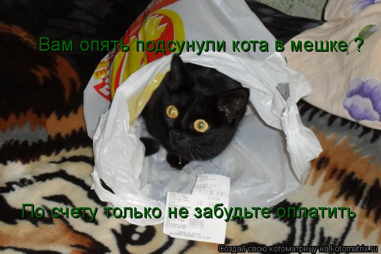 Котоматрица: Вам опять подсунули кота в мешке ? По счету только не забудьте оплатить