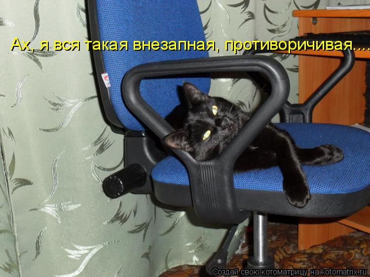 Котоматрица: Ах, я вся такая внезапная, противоричивая........