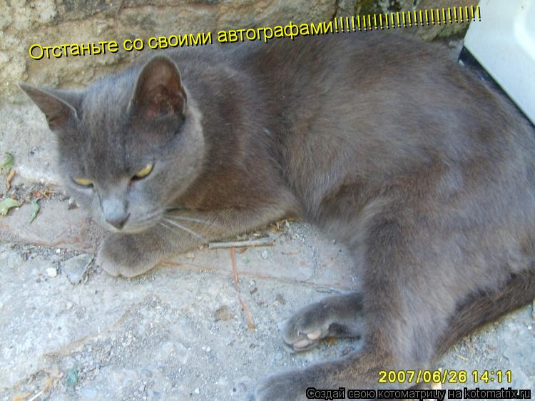Котоматрица: Отстаньте со своими автографами!!!!!!!!!!!!!!!!!!!!!!!!!!