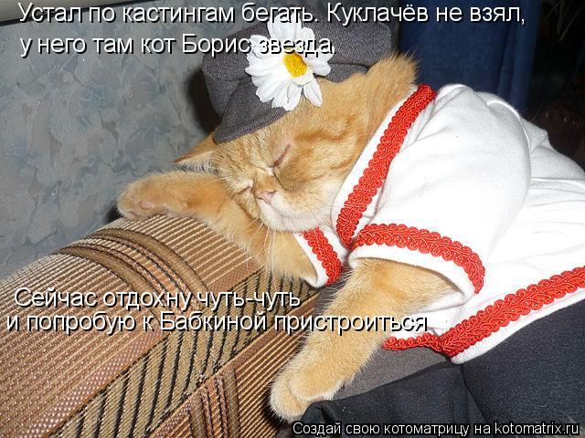 Устал по кастингам бегать. Куклачёв не взял, у него там кот Борис звезда. Сейчас отдохну чуть-чуть и ... Котоматрица: Устал по кастингам бегать. Куклачёв не взял, у него там кот Борис звезда. Сейчас отдохну чуть-чуть и попробую к Бабкиной пристроиться