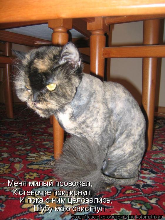 Меня милый провожал, К стеночке притиснул, И пока с ним целовались, Шубу мою свистнул...... Котоматрица: Меня милый провожал, К стеночке притиснул, И пока с ним целовались, Шубу мою свистнул...