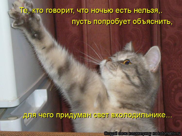 Котоматрица: Те, кто говорит, что ночью есть нельзя,.  пусть попробует объяснить,  для чего придуман свет вхолодильнике...