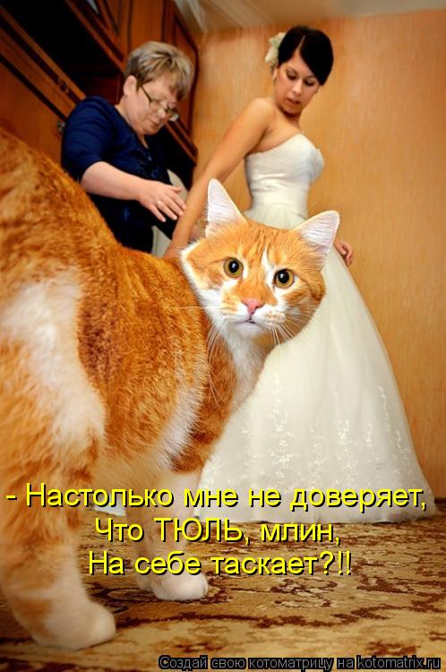 - Настолько мне не доверяет, Что ТЮЛЬ, млин, На себе таскает?!!... Котоматрица: - Настолько мне не доверяет, Что ТЮЛЬ, млин, На себе таскает?!!