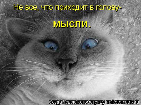 Котоматрица: Не все, что приходит в голову-   мысли.