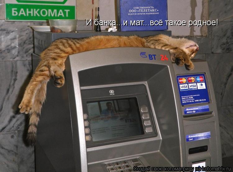 И банка...и мат...всё такое родное!... Котоматрица: И банка...и мат...всё такое родное!