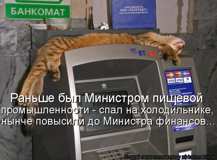 Котоматрица: Раньше был Министром пищевой  промышленности - спал на холодильнике, нынче повысили до Министра финансов...