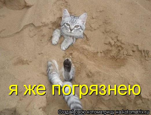Котоматрица: я же погрязнею