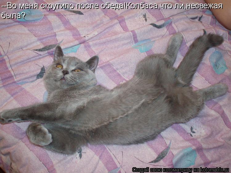 Котоматрица: --Во меня скрутило после обеда!Колбаса,что ли,несвежая была?