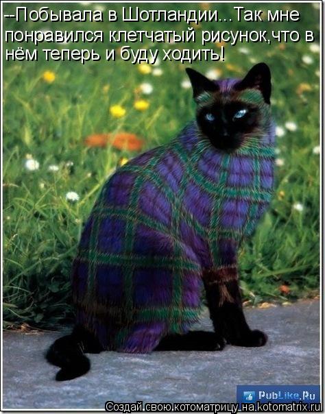 Котоматрица: --Побывала в Шотландии...Так мне понравился клетчатый рисунок,что в нём теперь и буду ходить!