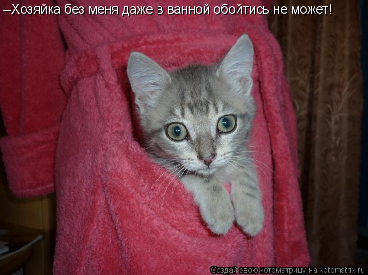 Котоматрица: --Хозяйка без меня даже в ванной обойтись не может!