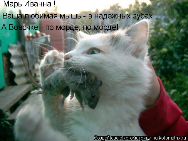 Котоматрица: Марь Иванна ! Ваша любимая мышь - в надежных зубах! А Вовочке - по морде, по морде!