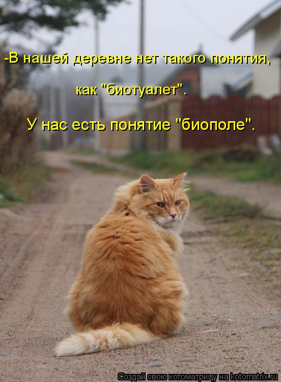 Котоматрица: как "биотуалет". У нас есть понятие "биополе". -В нашей деревне нет такого понятия,