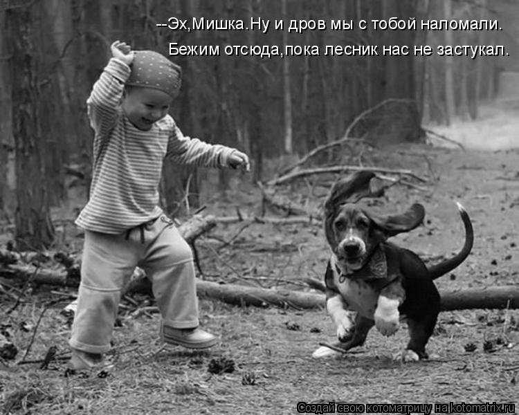 Котоматрица: --Эх,Мишка.Ну и дров мы с тобой наломали. Бежим отсюда,пока лесник нас не застукал.