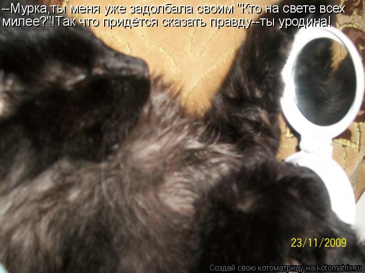 Котоматрица: --Мурка,ты меня уже задолбала своим "Кто на свете всех милее?"!Так что придётся сказать правду--ты уродина!