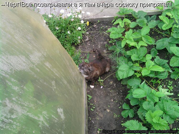Котоматрица: --Чёрт!Всё позакрывали,а я там вчера сосиску припрятал!