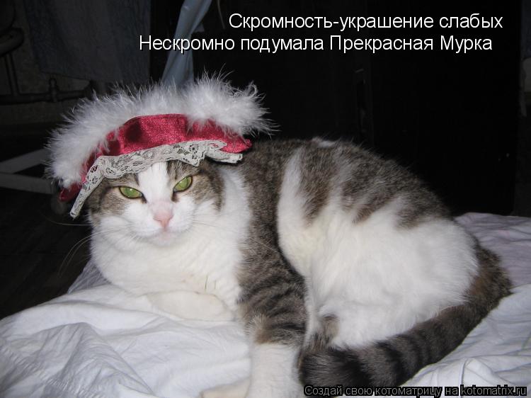 Котоматрица: Скромность-украшение слабых Нескромно подумала Прекрасная Мурка