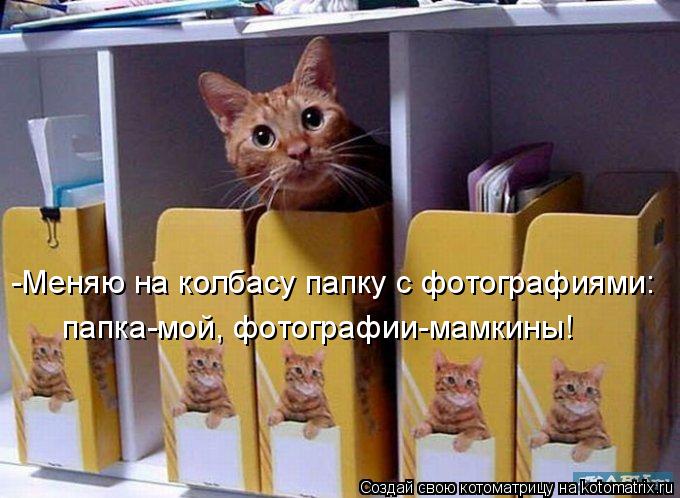 Котоматрица: -Меняю на колбасу папку с фотографиями: папка-мой, фотографии-мамкины!