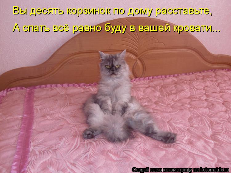 Котоматрица: Вы десять корзинок по дому расставьте, А спать всё равно буду в вашей кровати...