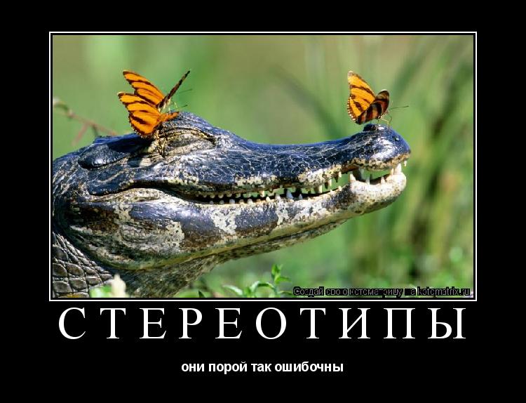 Котоматрица: Стереотипы они порой так ошибочны