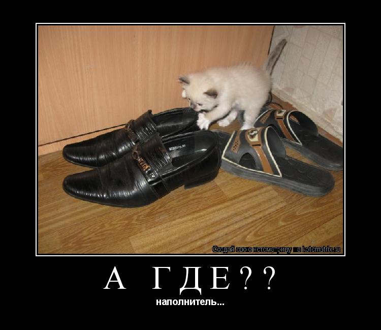 Котоматрица: А ГДЕ?? наполнитель...