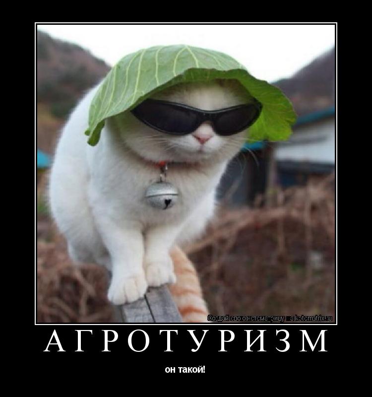 Котоматрица: Агротуризм он такой!