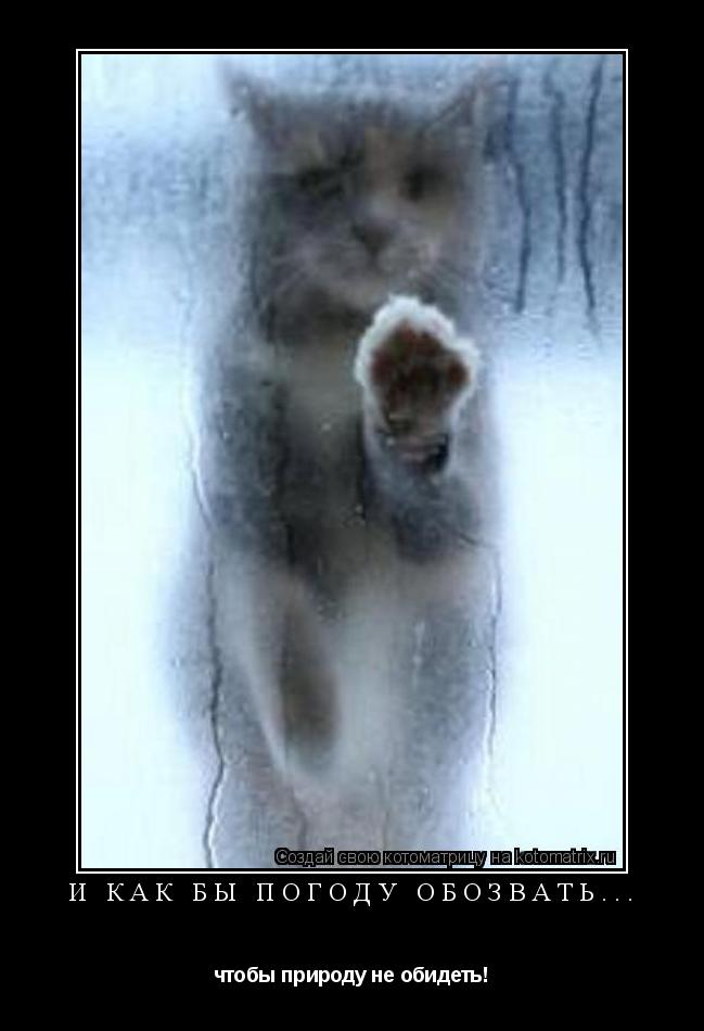 Котоматрица: И как бы погоду обозвать... чтобы природу не обидеть!