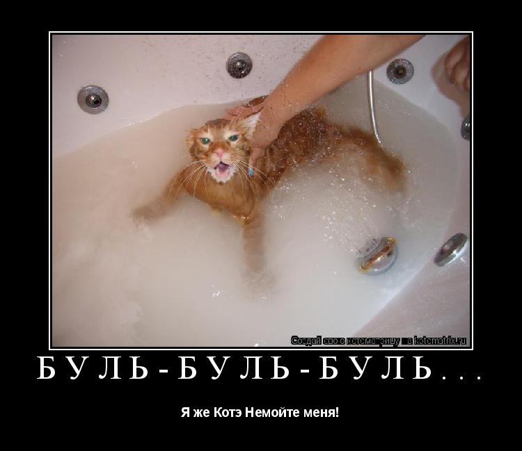 Котоматрица: Буль-Буль-Буль... Я же Котэ Немойте меня!