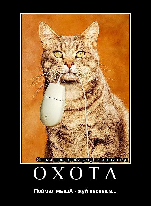 Котоматрица:               ОХОТА Поймал мышА - жуй неспеша...