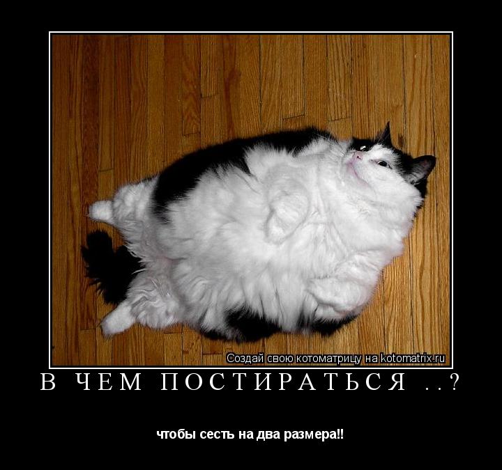 Котоматрица: В чем постираться ..? чтобы сесть на два размера!!