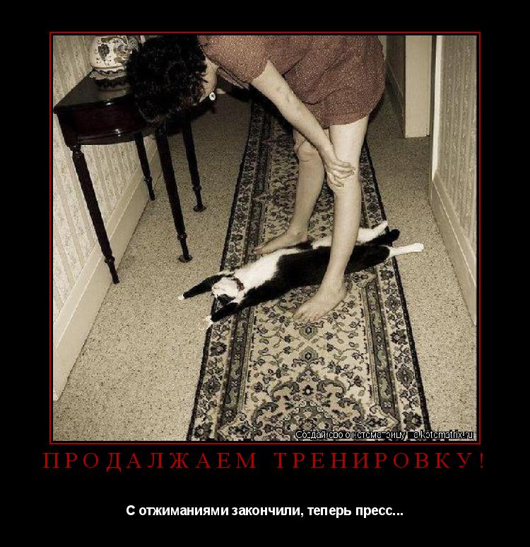 Котоматрица: Продалжаем тренировку! С отжиманиями закончили, теперь пресс...