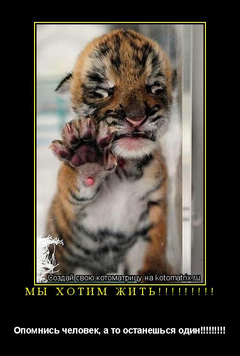 Котоматрица: Мы хотим жить!!!!!!!!! Опомнись человек, а то останешься один!!!!!!!!!
