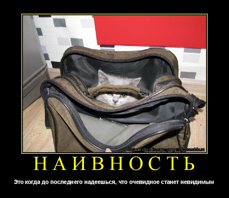 Котоматрица: Наивность Это когда до последнего надеешься, что очевидное станет невидимым