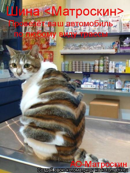 Котоматрица: Шина <Матроскин> Провезёт ваш автомобиль по любому виду трассы АО-Матроскин