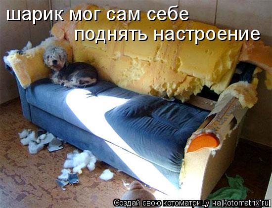 шарик мог сам себе поднять настроение... Котоматрица: шарик мог сам себе поднять настроение
