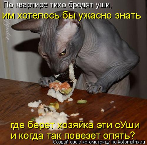 Котоматрица: По квартире тихо бродят уши,  им хотелось бы ужасно знать где берет хозяйка эти сУши и когда так повезет опять?