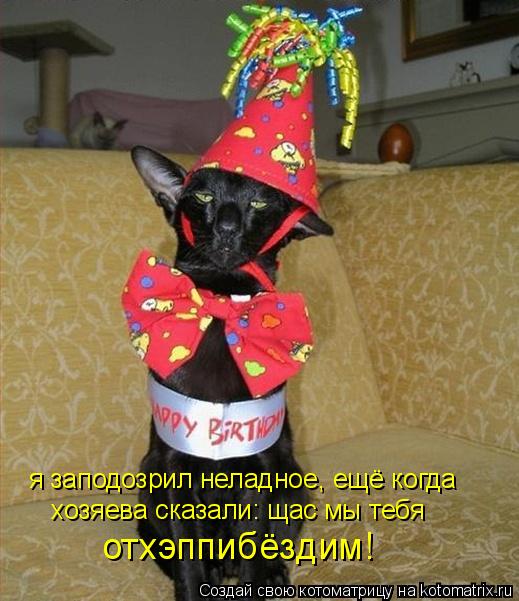 Котоматрица: я заподозрил неладное, ещё когда хозяева сказали: щас мы тебя отхэппибёздим!