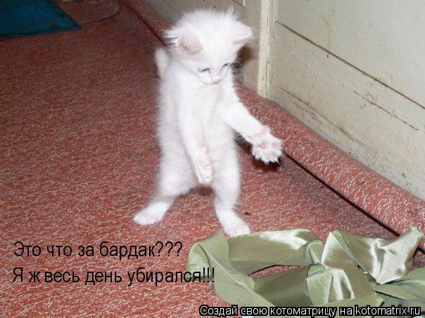Котоматрица: Это что за бардак??? Я ж весь день убирался!!!