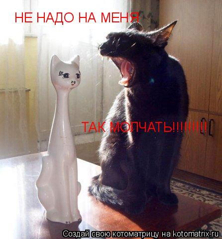 Котоматрица: НЕ НАДО НА МЕНЯ ТАК МОЛЧАТЬ!!!!!!!!!