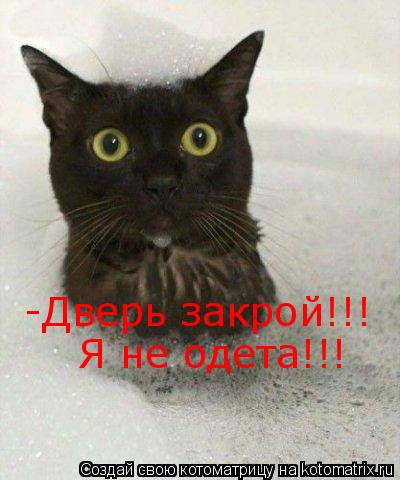 Котоматрица: -Дверь закрой!!! Я не одета!!!