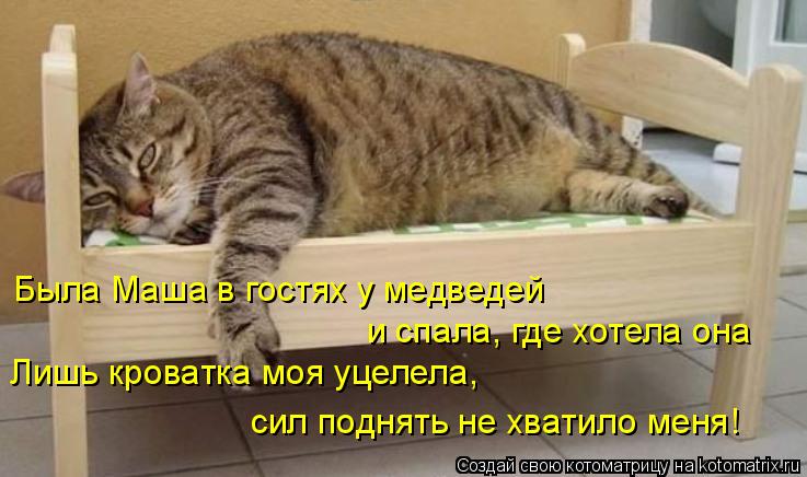 Котоматрица: Лишь кроватка моя уцелела, сил поднять не хватило меня! Была Маша в гостях у медведей и спала, где хотела она