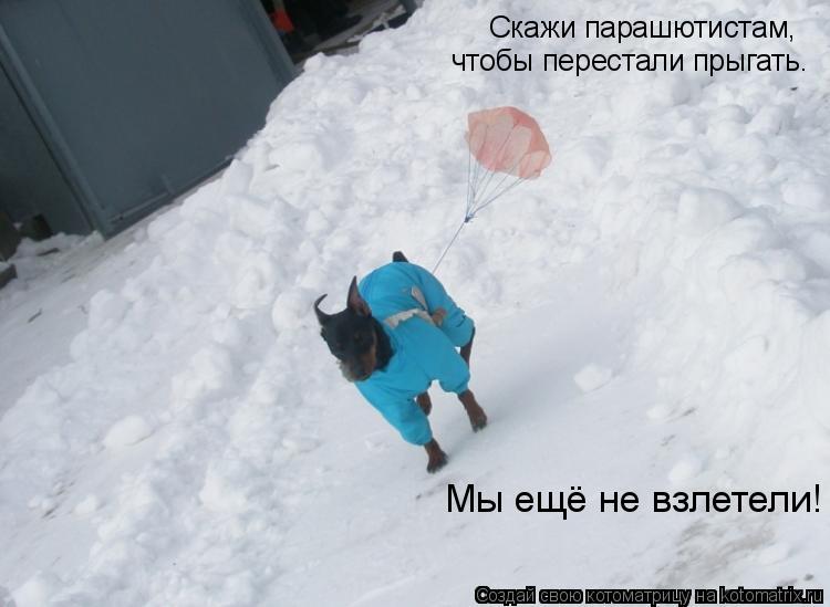 Котоматрица: Скажи парашютистам,  чтобы перестали прыгать. Мы ещё не взлетели!