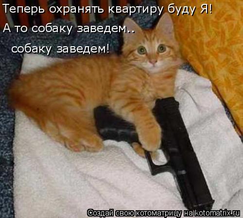 Котоматрица: Теперь охранять квартиру буду Я! А то собаку заведем.. собаку заведем!