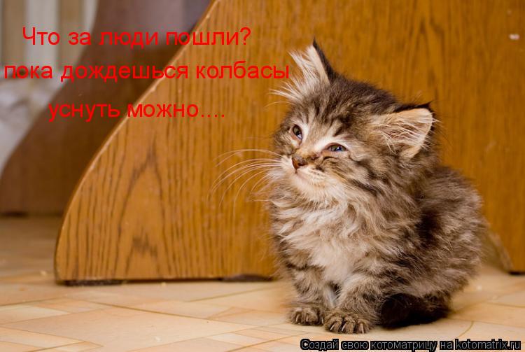 Котоматрица: Что за люди пошли? пока дождешься колбасы уснуть можно....