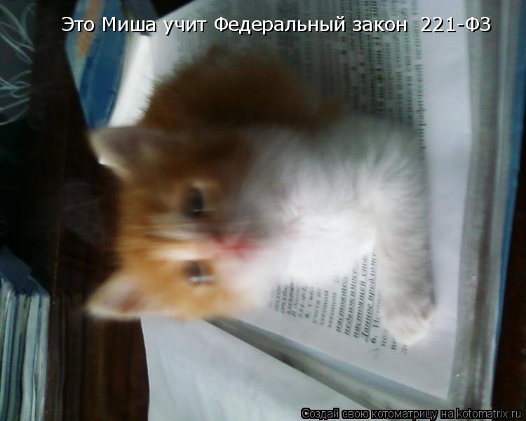 Котоматрица: Это Миша учит Федеральный закон №221-ФЗ
